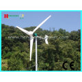 Turbina de viento del horizontal-eje de 2000W (mantenimiento)